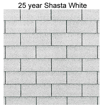 25 Year Shasta White