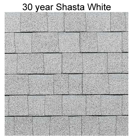30 Year Shasta White